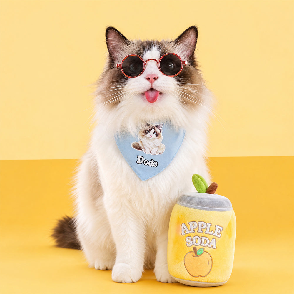funny ragdoll cat with custom name photo bandana bib
