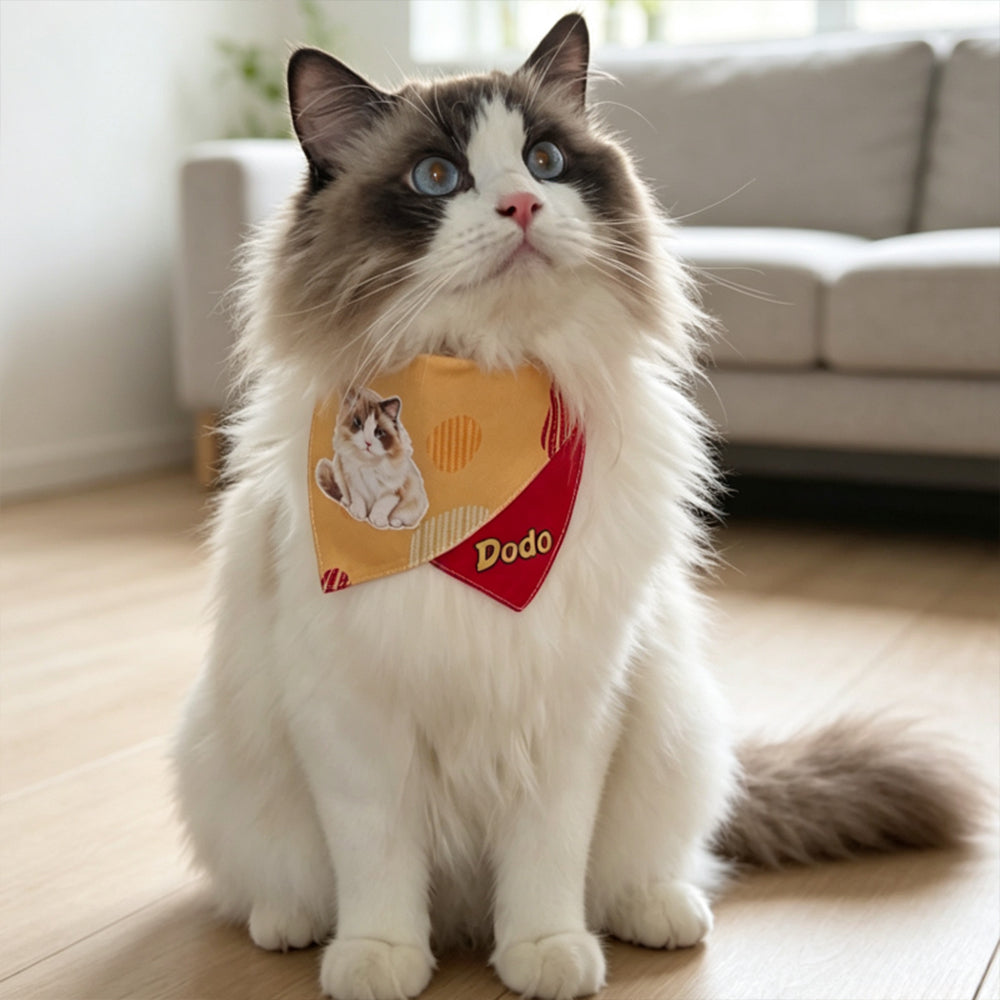 ragdoll cat wearing personalized photo pet bandana bib

